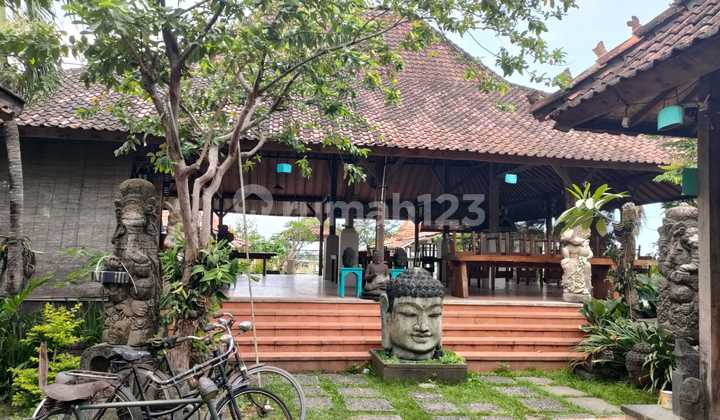 For rent, former cafe in Ry Tukad Balian with rice field view For rent, former cafe in Ry Tukad Balian with rice field view