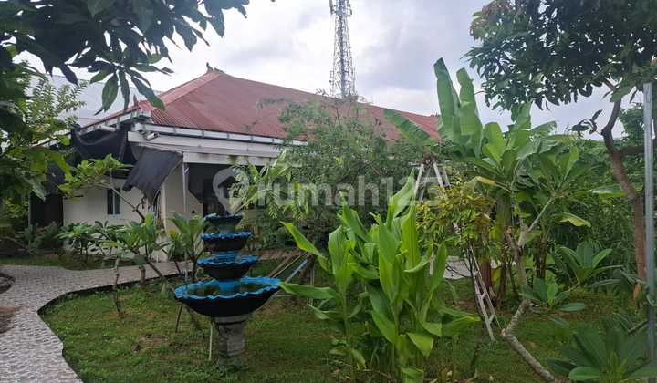 Rumah, Kantor& Gudang-Cargo Denpasar Utara 2