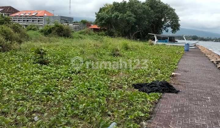 For Sale Land 1.5 Hectares Near Singaraja Beach For Sale Land 1.5 Hectares Near Singaraja Beach