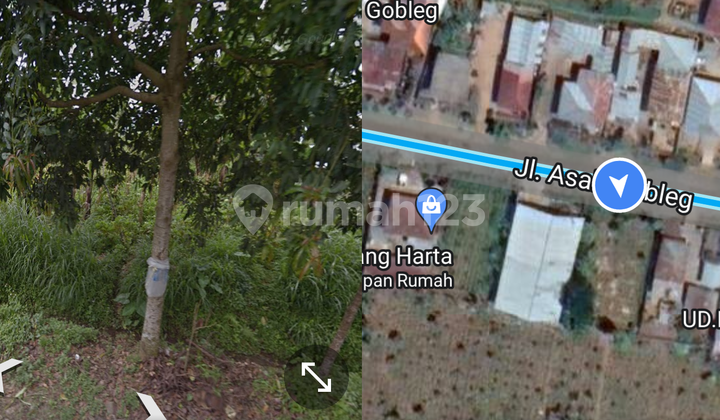 Tanah 2 Hektare utk Agriculture di Jl. Asah Gobleg Buleleng  4