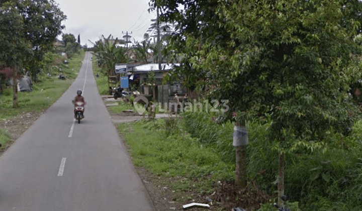 Tanah 2 Hektare utk Agriculture di Jl. Asah Gobleg Buleleng  5