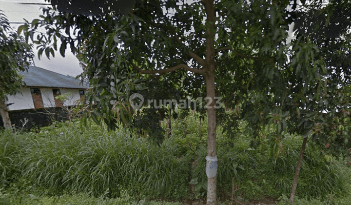 Tanah 2 Hektare utk Agriculture di Jl. Asah Gobleg Buleleng  6