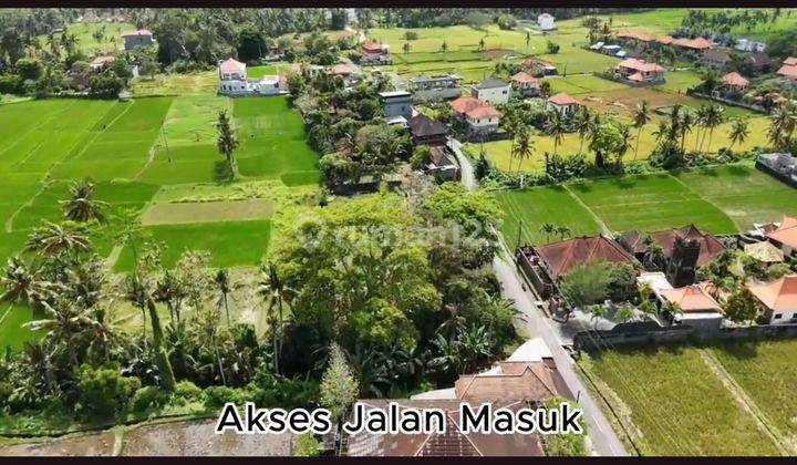 Tanah View of Rice Fields and Small River near Ubud 2