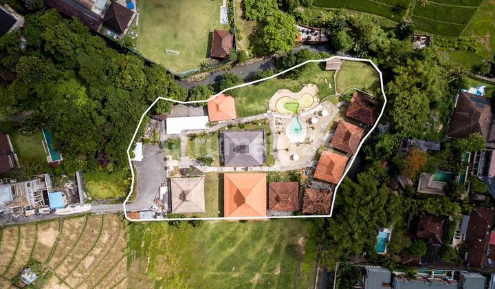 Land for Sale Brawa - Canggu Land for Sale Brawa - Canggu
