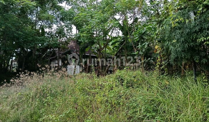 Dijual Tanah Dekat Pantai Kramas - Gianyar Dijual Tanah Dekat Pantai Kramas - Gianyar