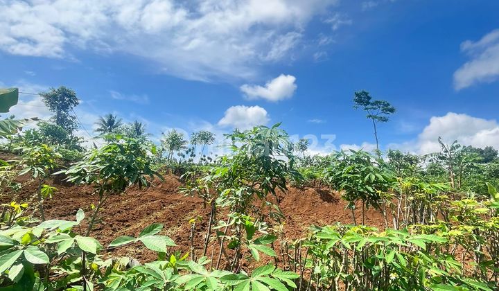 tampak depan dijual tanah cocok untuk perumahan