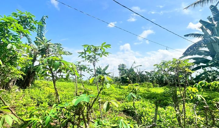 tampak depan dijual tanah cocok untuk perumahan