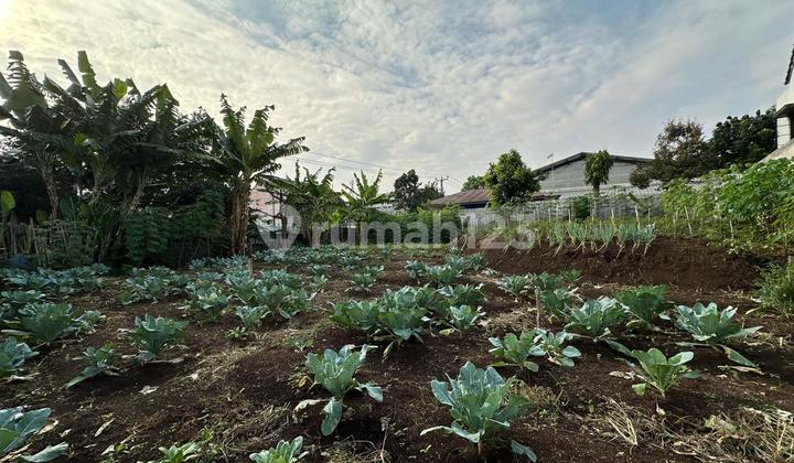 Tanah Dijual di Mainroad Cimahi - Lokasi Strategis, Cocok untuk Usaha atau Hunian