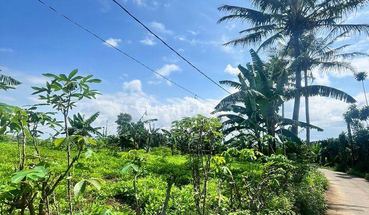 Dijual Tanah Cocok Untuk Perumahan Atau Perkebunan di Cimahi 1