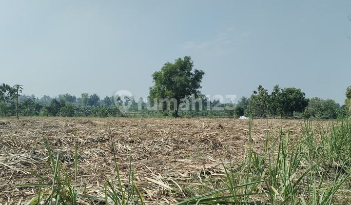 Dijual Tanah Lahan Industri Pertanian dan Peternakan