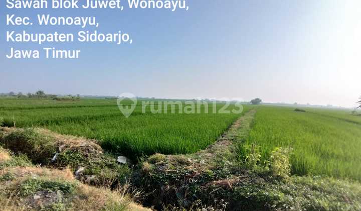 Dijual 3 Bidang Tanah Sidoarjo Dekat Pergudangan Meicko