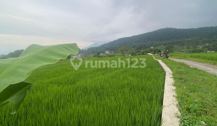 Land for Sale in Pacet Near Tourist Attractions