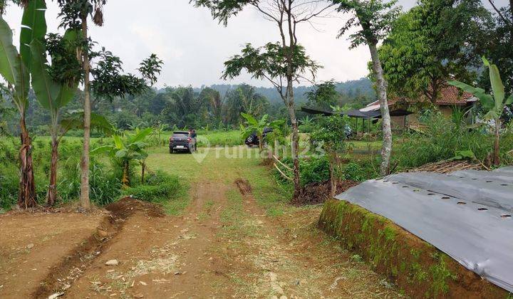 Tanah 1,6 hectare SHM Bukit Dan Mata Air Di Wanayasa Purwakarta 2