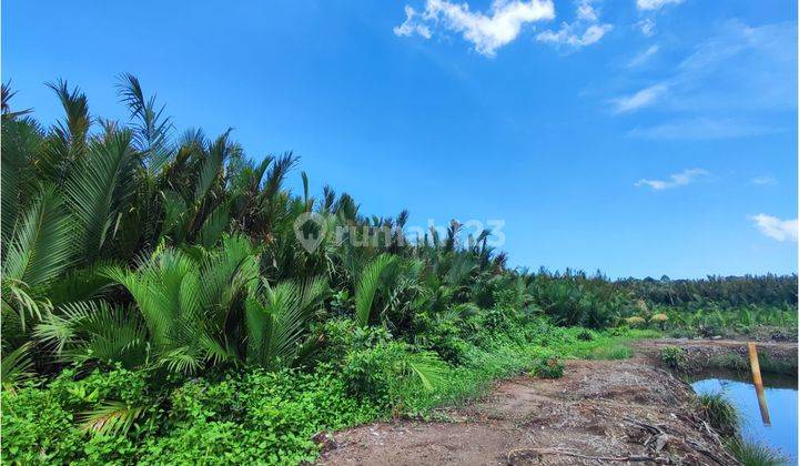Tanah Cijulang Batukaras Pangandaran Cocok Resort & Area Wisata 1