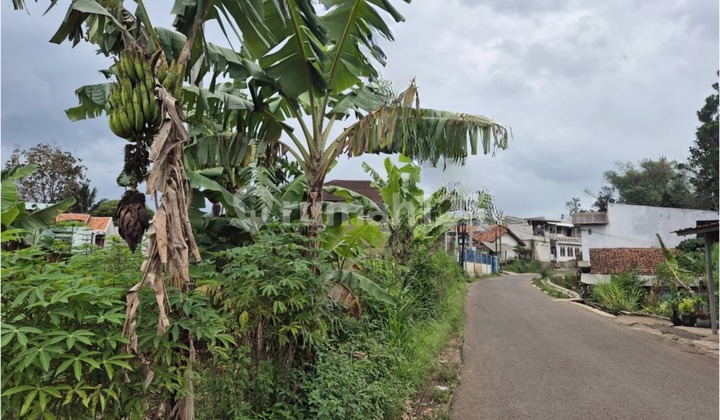 Tanah Ngamprah Padalarang Dekat Pemda Bandung Barat Harga Dibawah Pasar