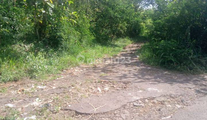 Tanah di Cagak, Subang SHM 12.556 ha 1