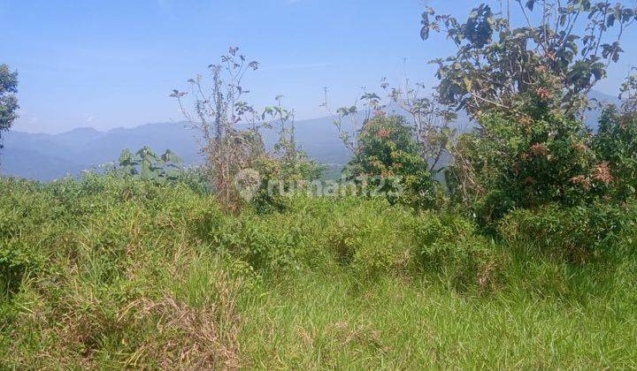 Tanah di Cagak, Subang SHM 12.556 ha 4