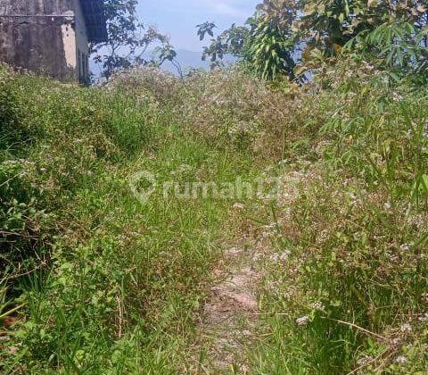 Tanah di Cagak, Subang SHM 12.556 ha 6