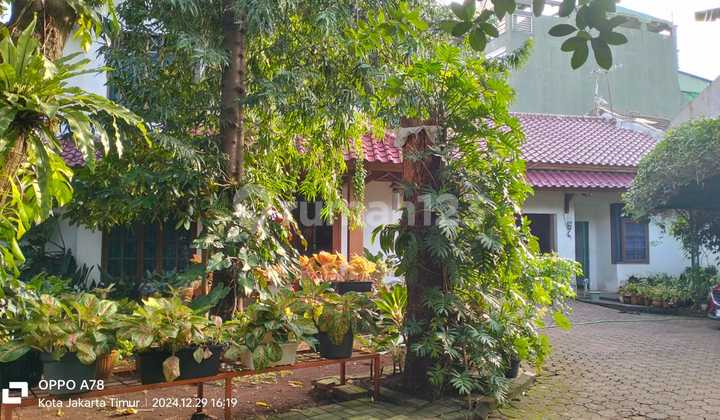 Dijual Rumah Lama dan Terawat Daerah Kramat Jati, Jakarta Timur 2