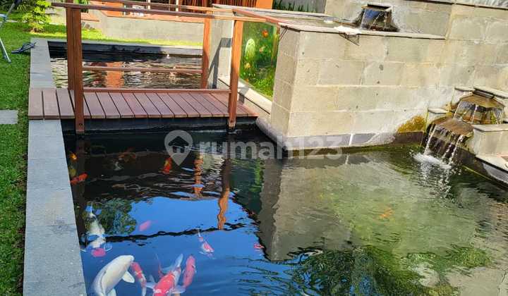 Rumah Di Setiabudi Regency