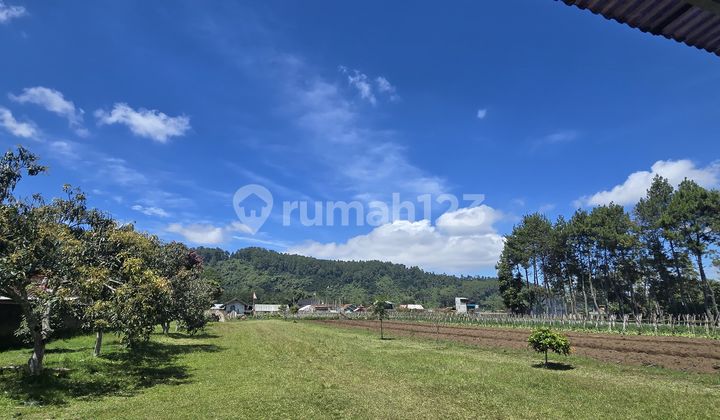 Dijual Kavling Maribaya Cibodasmainroad Jln (jalan 2mbl)