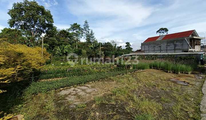 Dijual 2 Kavling Dalam 1 Area Di Sersan Bajuri, Cihideung