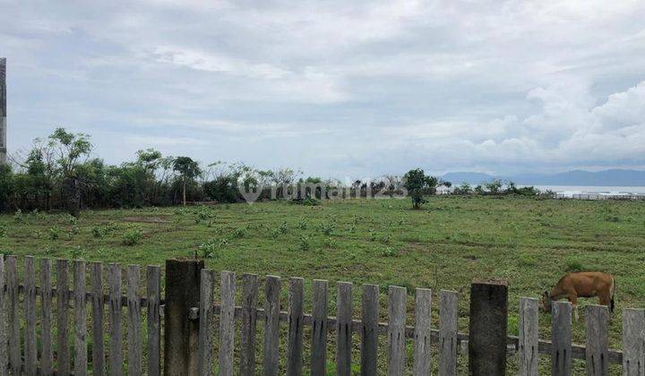 Dijual Tanah Strategis Cocok Untuk Invest di Sumba 2