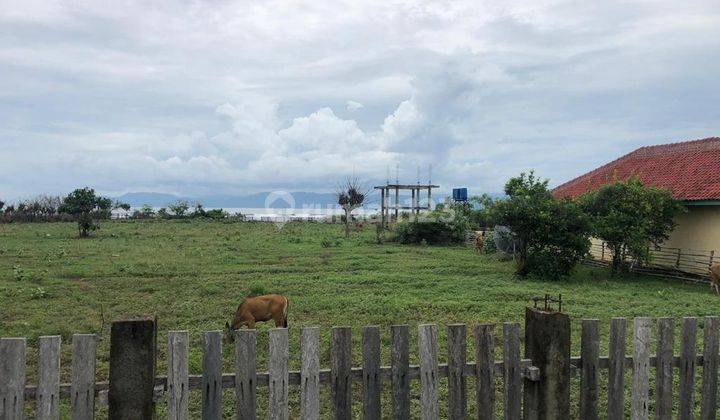 Dijual Tanah Strategis Cocok Untuk Invest di Sumba 4