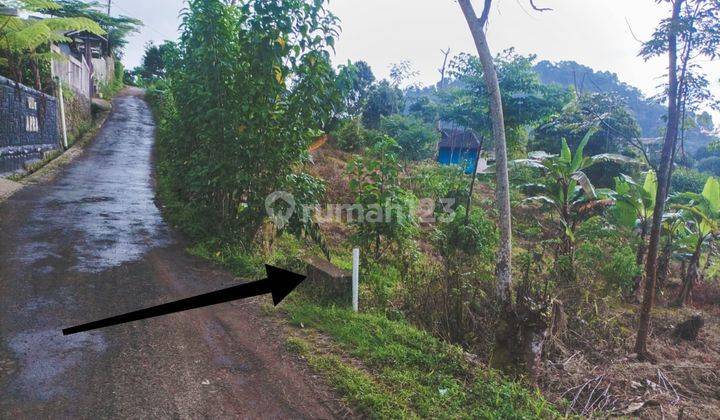 Dijual Cepat Tanah Strategis Untuk Wisata di Pamijahan Bogor 1