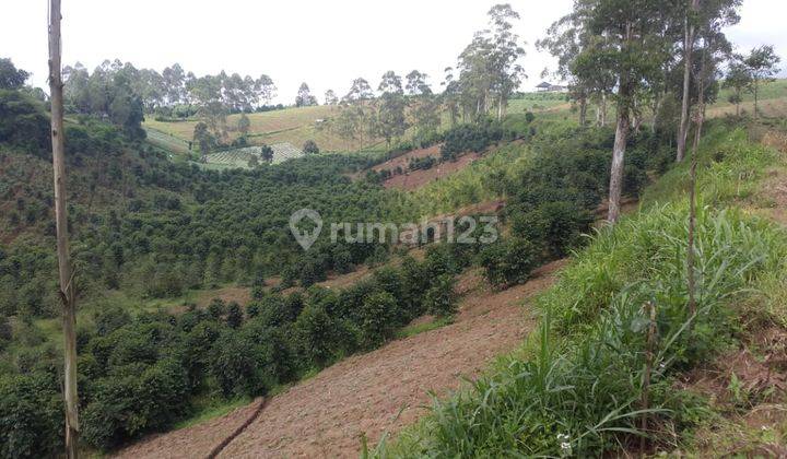 Dijual Tanah Pangalengan Dekat Danau Situ Cileunca 1
