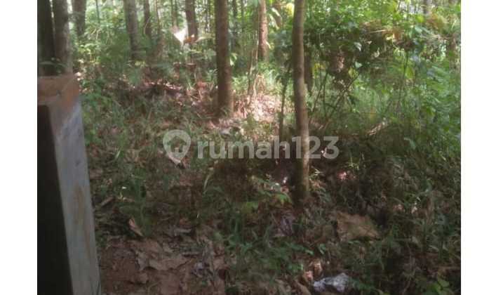 Dijual Kavling Luas di Rancakalong Sumedang 1