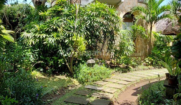 Ready-to-use villa complex for sale in Umalas Kerobokan Kuta Bali 2