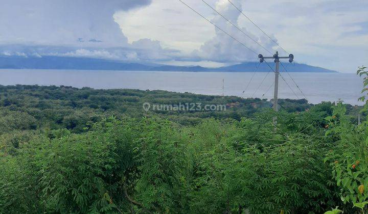 Dijual Lahan View Abadi Strategis di Batumupulan Nusa Penida 1