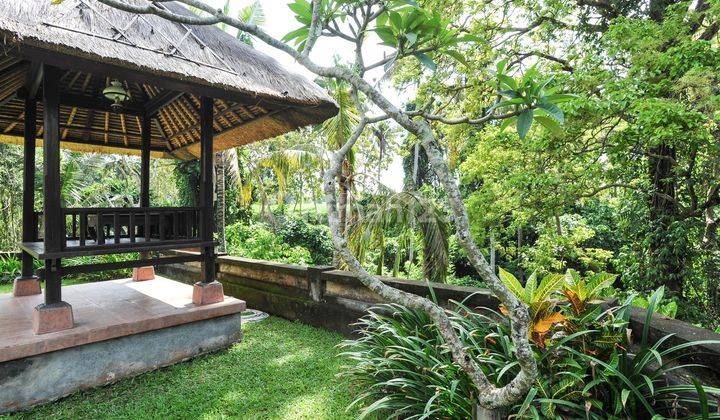 Tanah Premium View Gunung Beli Tanah Dapat 2 Bungalow di Ubud Bali 2