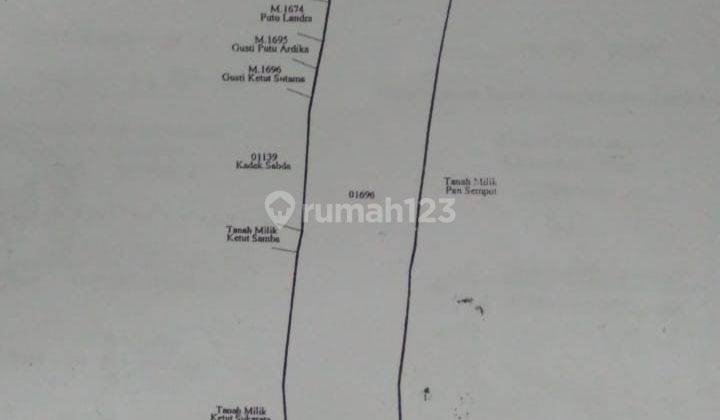 Cheap Strategic Land in Tegal Badeng Jembrana Bali 2