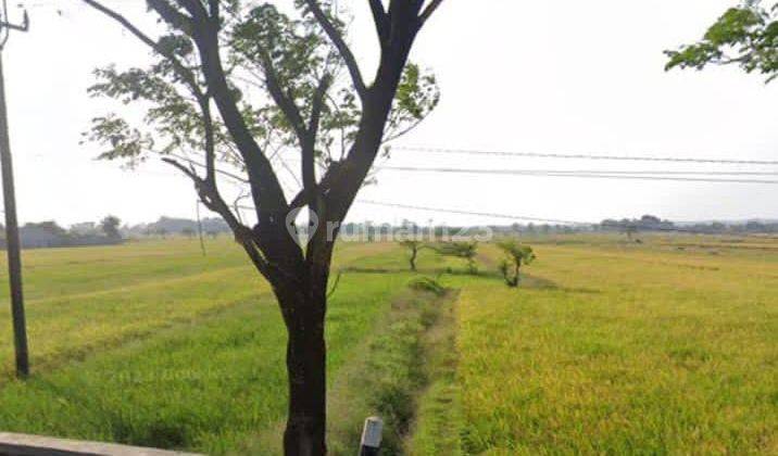 Tanah Sawah Komersial di Kertajati Majalengka 1