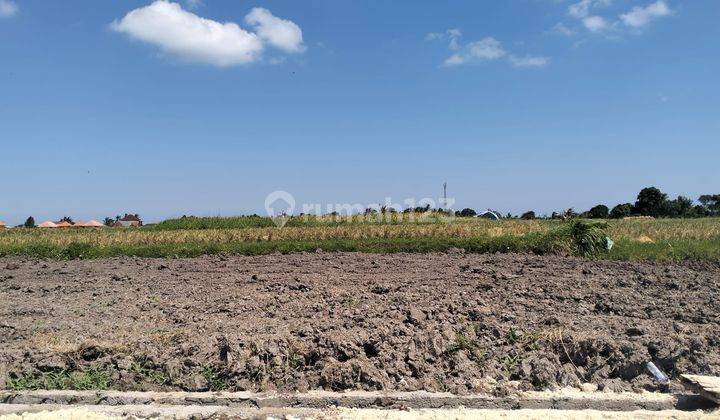 Tanah Luas View Sawah Dan Sungai di Kedungu Bali 1