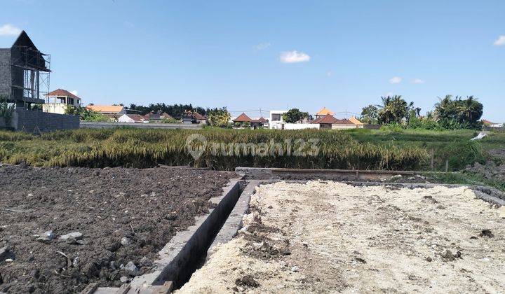 Tanah Luas View Sawah Dan Sungai di Kedungu Bali 2