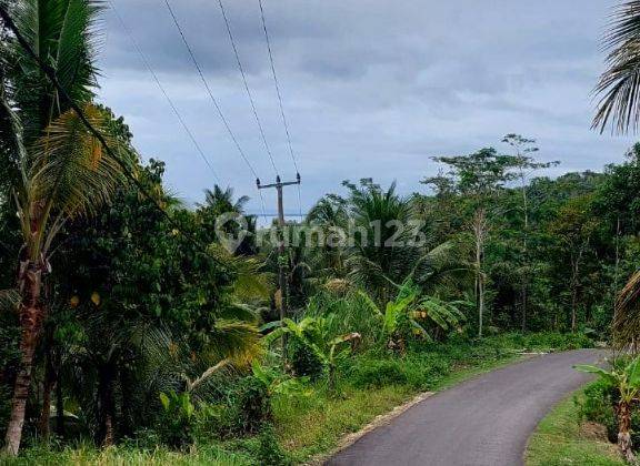 Tanah Luas Murah Cocok Villa View Cantik di Pantai Karapyak  2