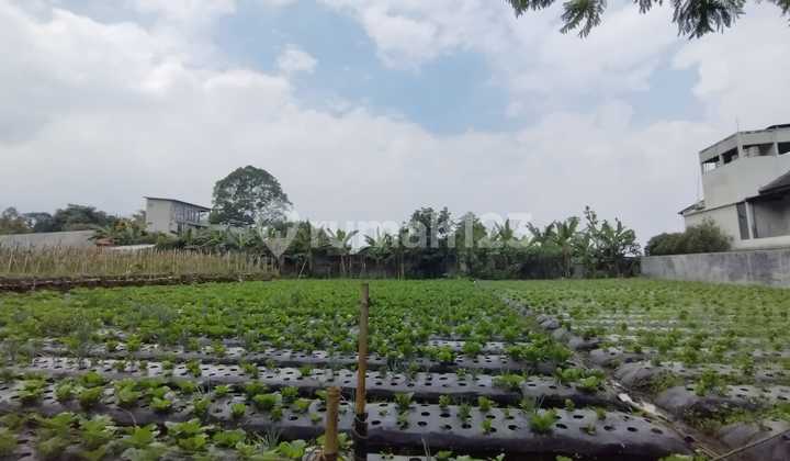 Tanah Luas Strategis di Setiabudi Indah Bandung Tanah Luas Strategis di Setiabudi Indah Bandung