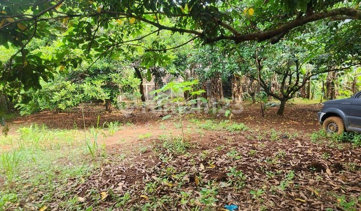 Tanah Murah 2630 m2 SHM Cireundeu, Tangerang Tanah Murah 2630 m2 SHM Cireundeu, Tangerang