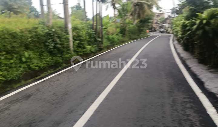 Tanah Super Premium Dicentral Ubud