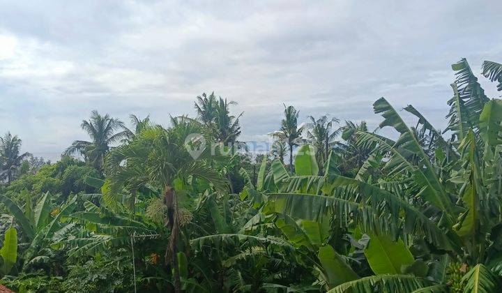 Villa Murah View Laut di Gianyar Dkt Ubud Dan Sanur 2