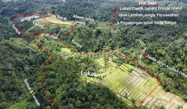 Tanah Super Mewah Full View Lembah Sungai Dan Bukit Ubud Tanah Super Mewah Full View Lembah Sungai Dan Bukit Ubud