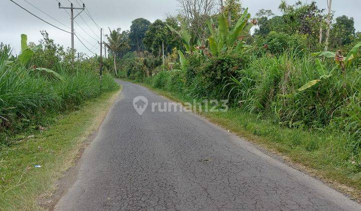 Tanah Super Murah Pinggir Jalan Los Sungai Ayung Payangan 2