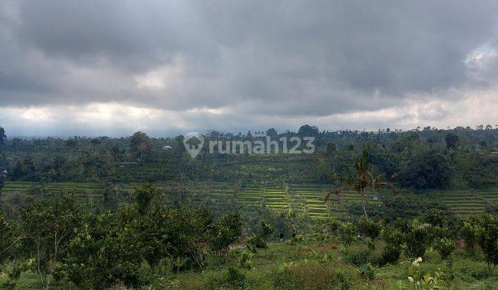 Tanah Super Murah Pinggir Jalan Los Sungai Ayung Payangan 2