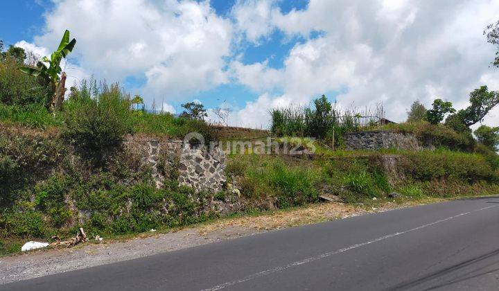 Tanah Pinggir Jalan Utama Kintamani Full View Danau Dan Gunung 2