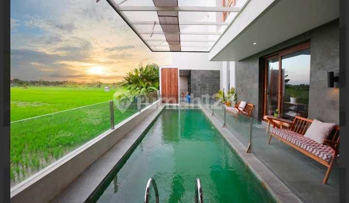Luxury Villa Murah Turun Harga di Seminyak Bali