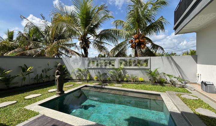 Luxury Villa Murah Disayan Ubud
