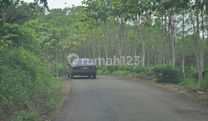 Dijual Tanah Batu Loji Sangat Luas Dipinggirlan Raya Kiara Lawang Pelabuhan Ratu